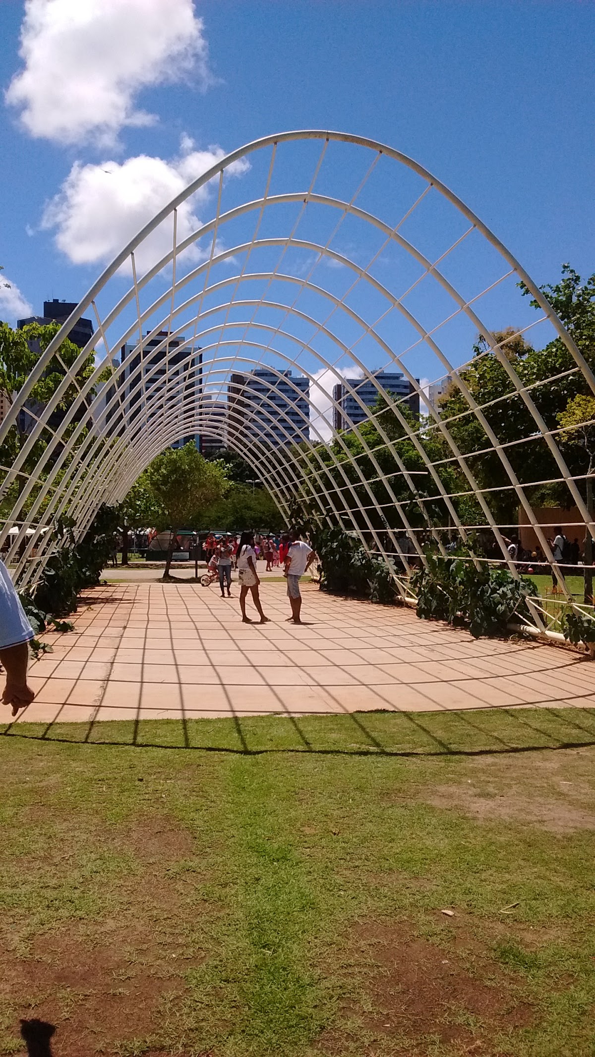 Parque da Cidade Joventino Silva