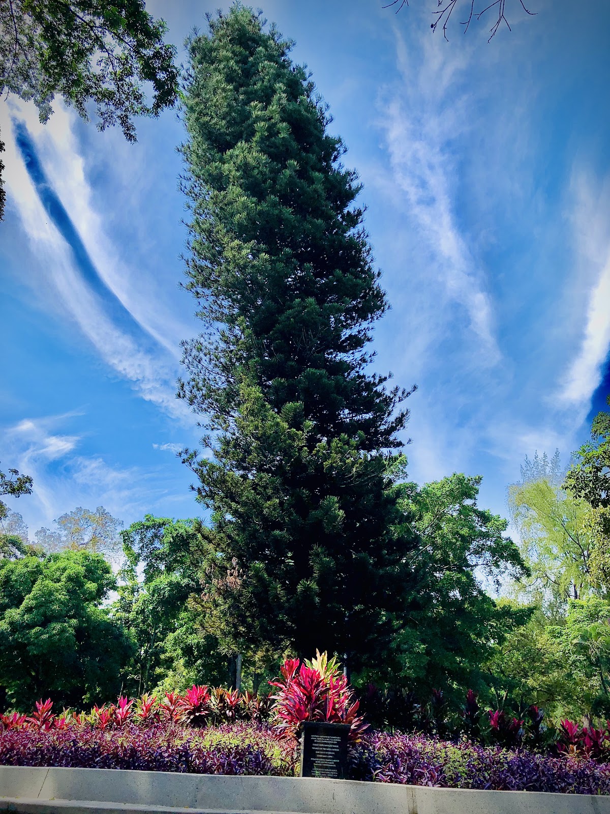 Parque Cuscatlán