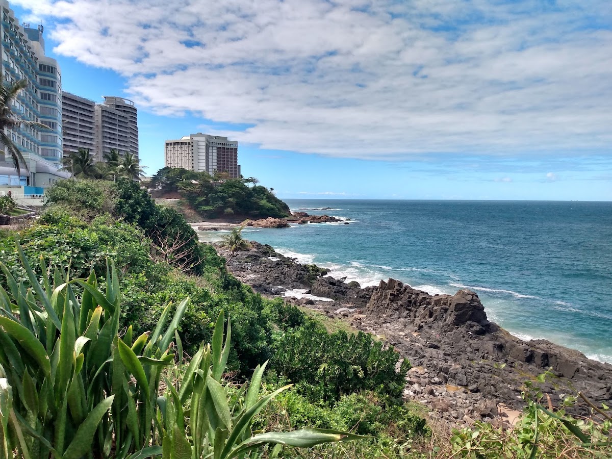 Praia da Pedra Alta