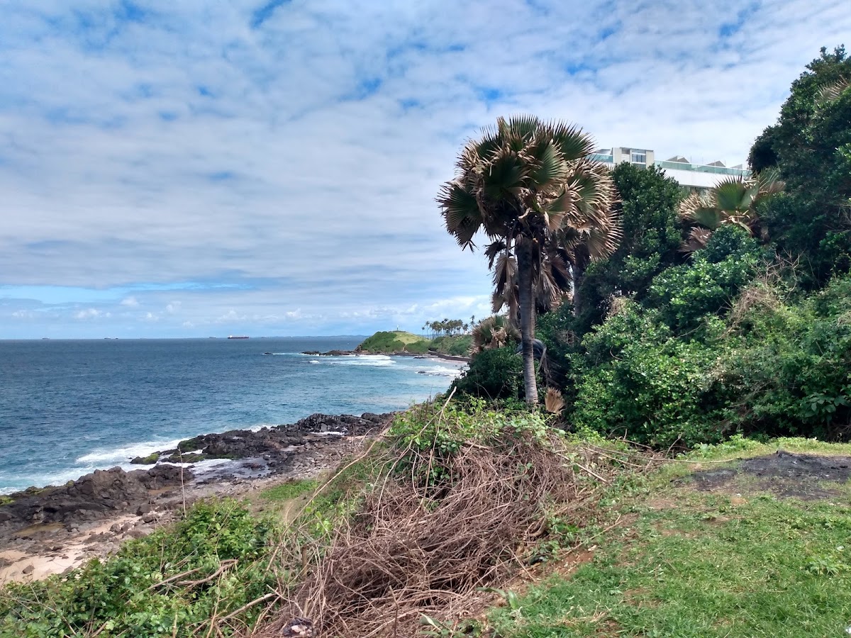 Praia da Pedra Alta