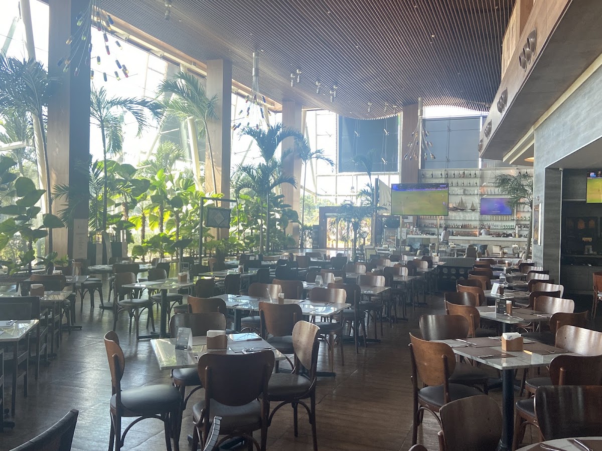 Ferreiro Café Salvador