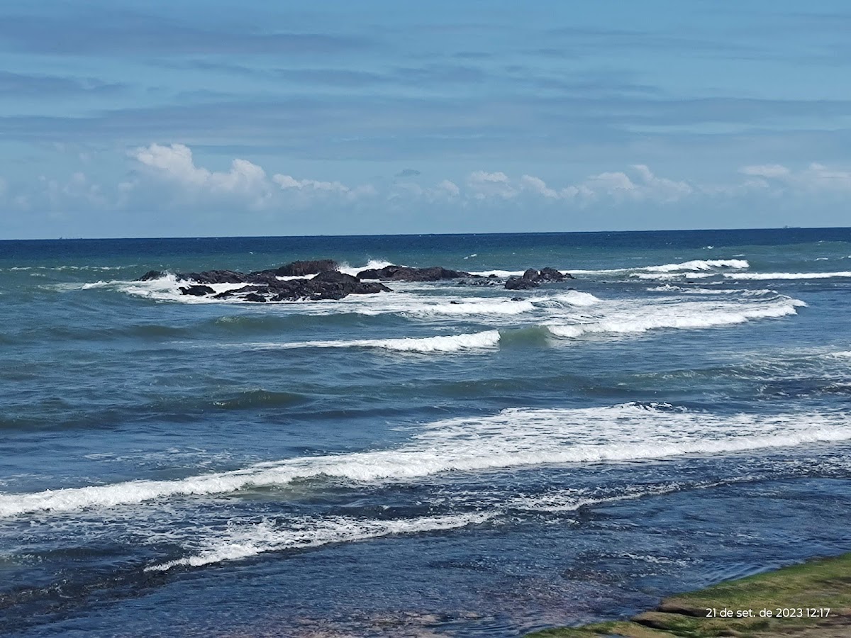 Praia de Amaralina