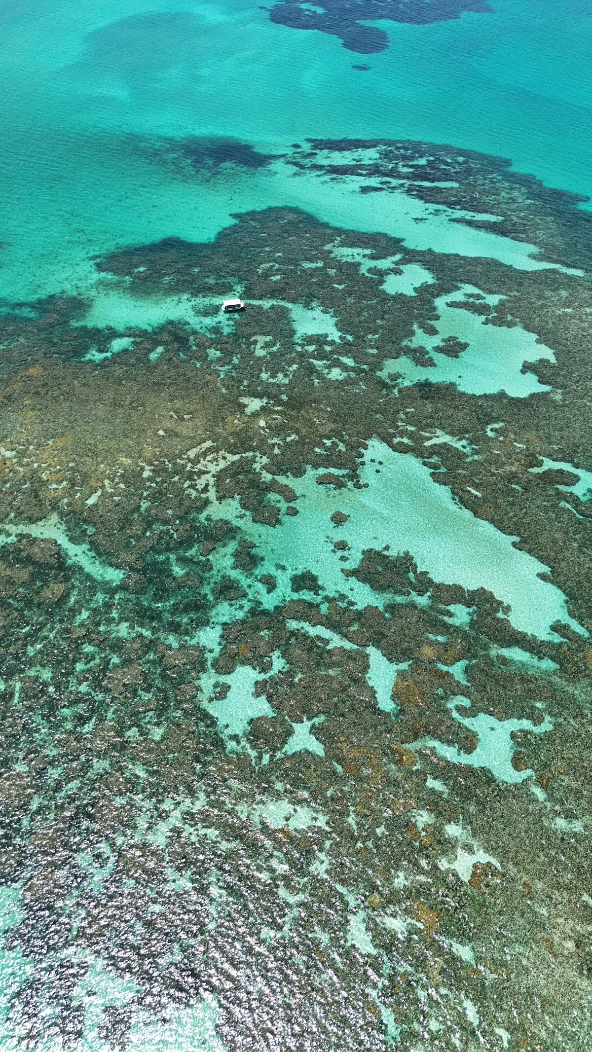 Recife das Caramuanas
