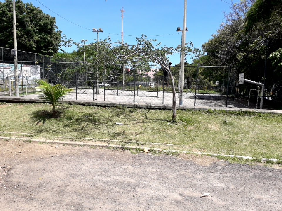 Parque Solar Boa Vista