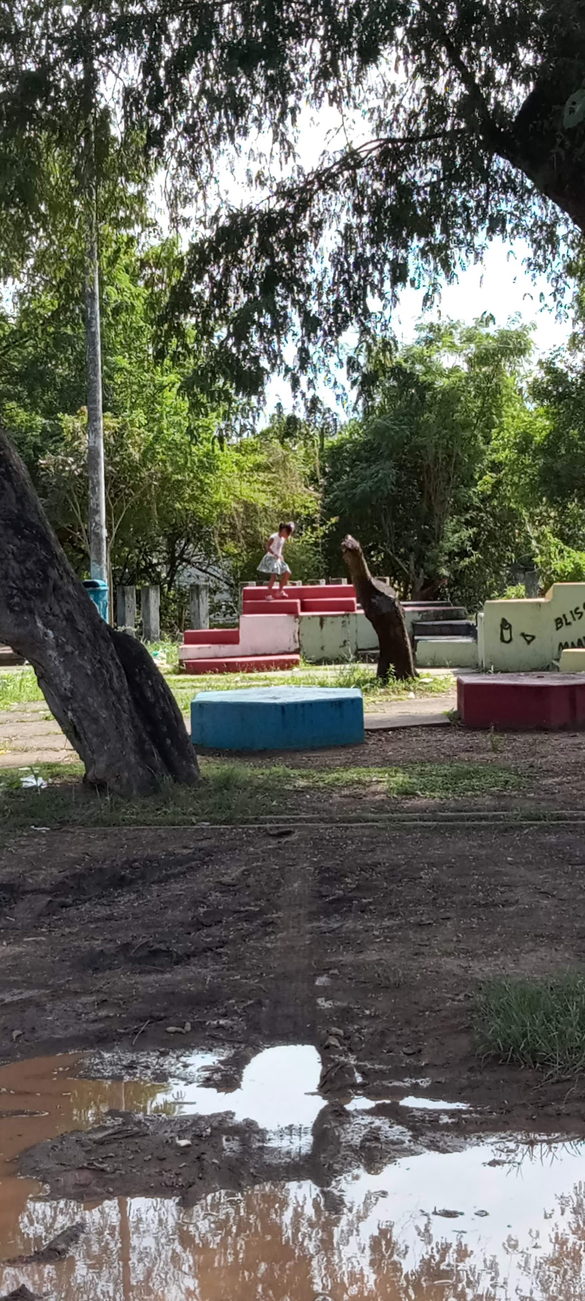 Parque Solar Boa Vista