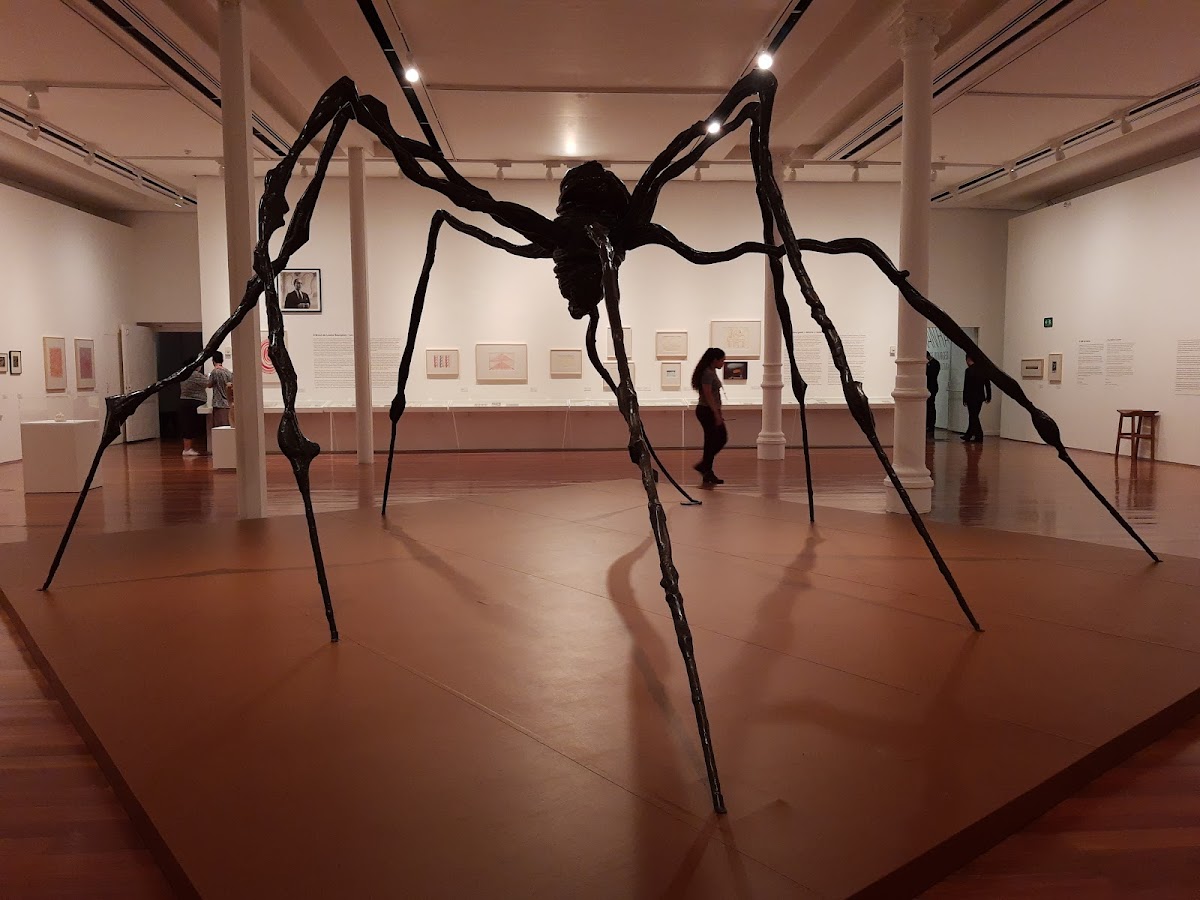 Museu de Arte do Rio