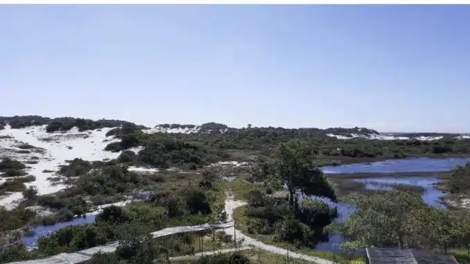Parque das Dunas Salvador