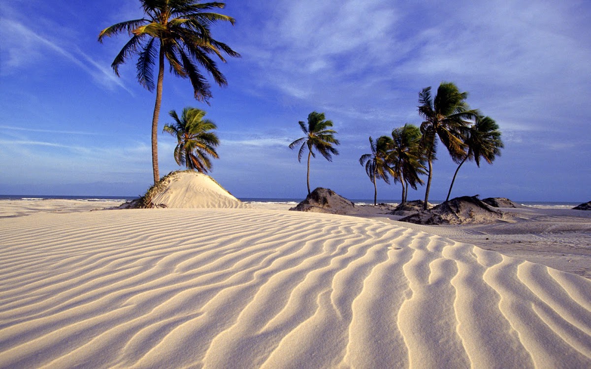 Parque das Dunas Salvador
