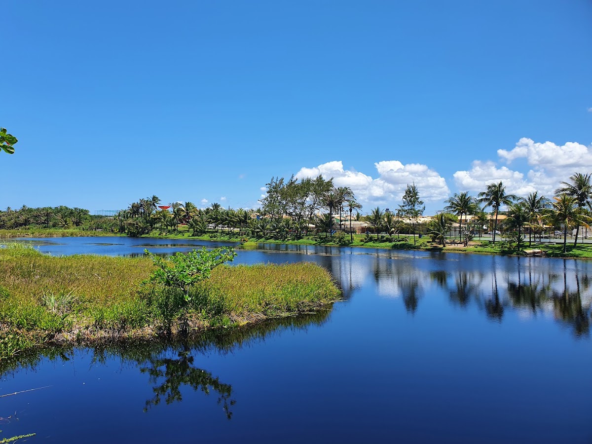 Parque das Dunas Salvador