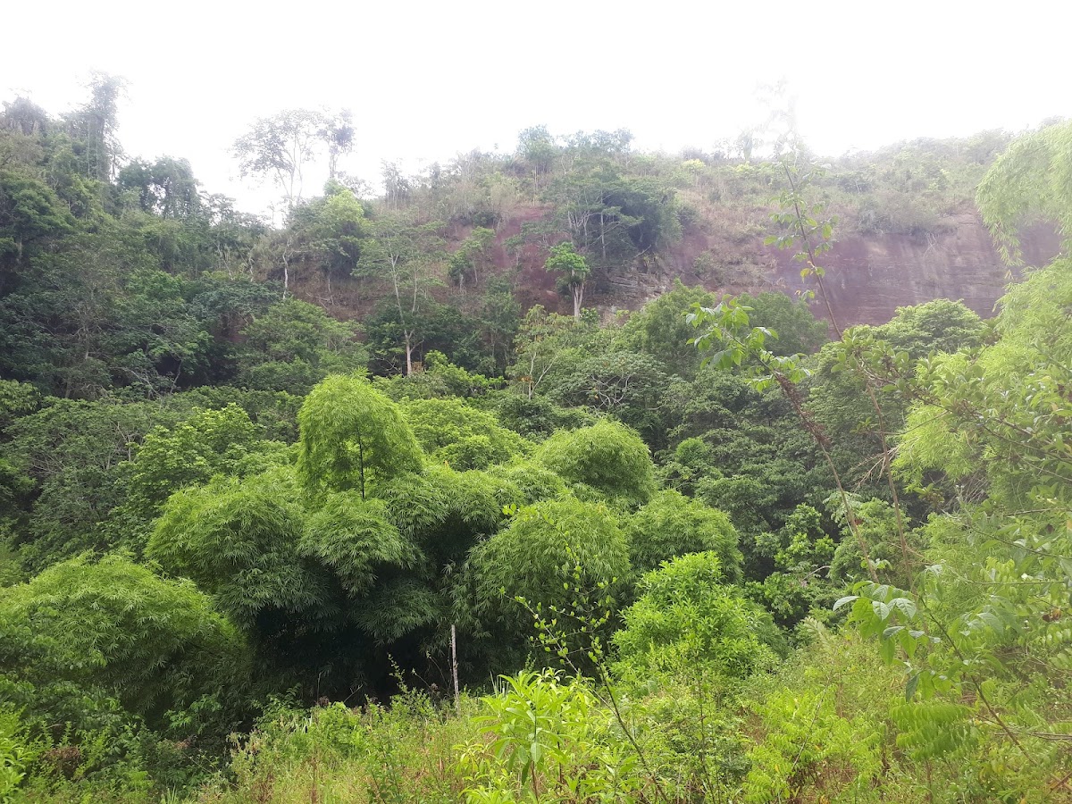 Cachoeira Do Urubu