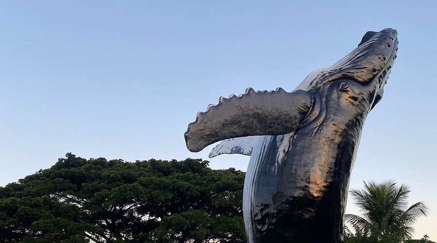 Espaço Baleia Jubarte