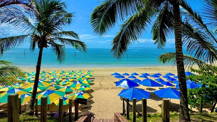 Passeio de Escuna pela Ilha dos Frades e Itaparica