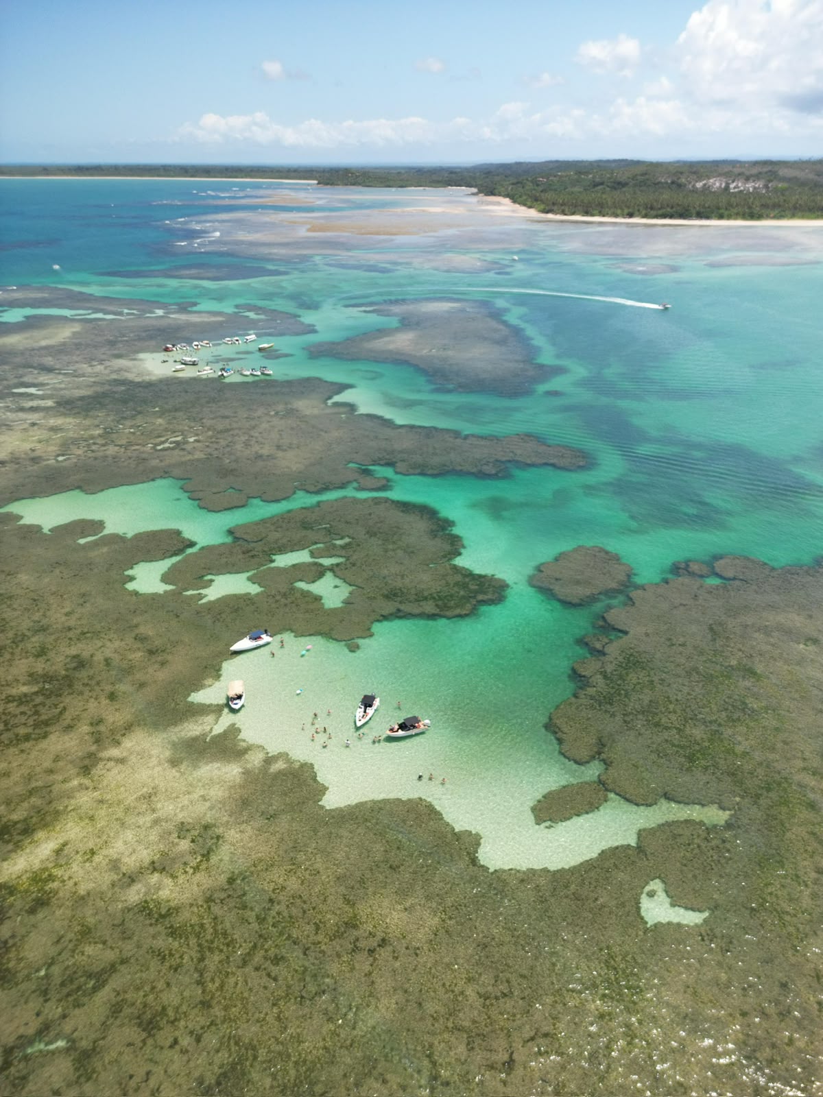 MORRO - VOLTA À ILHA DE TINHARÉ