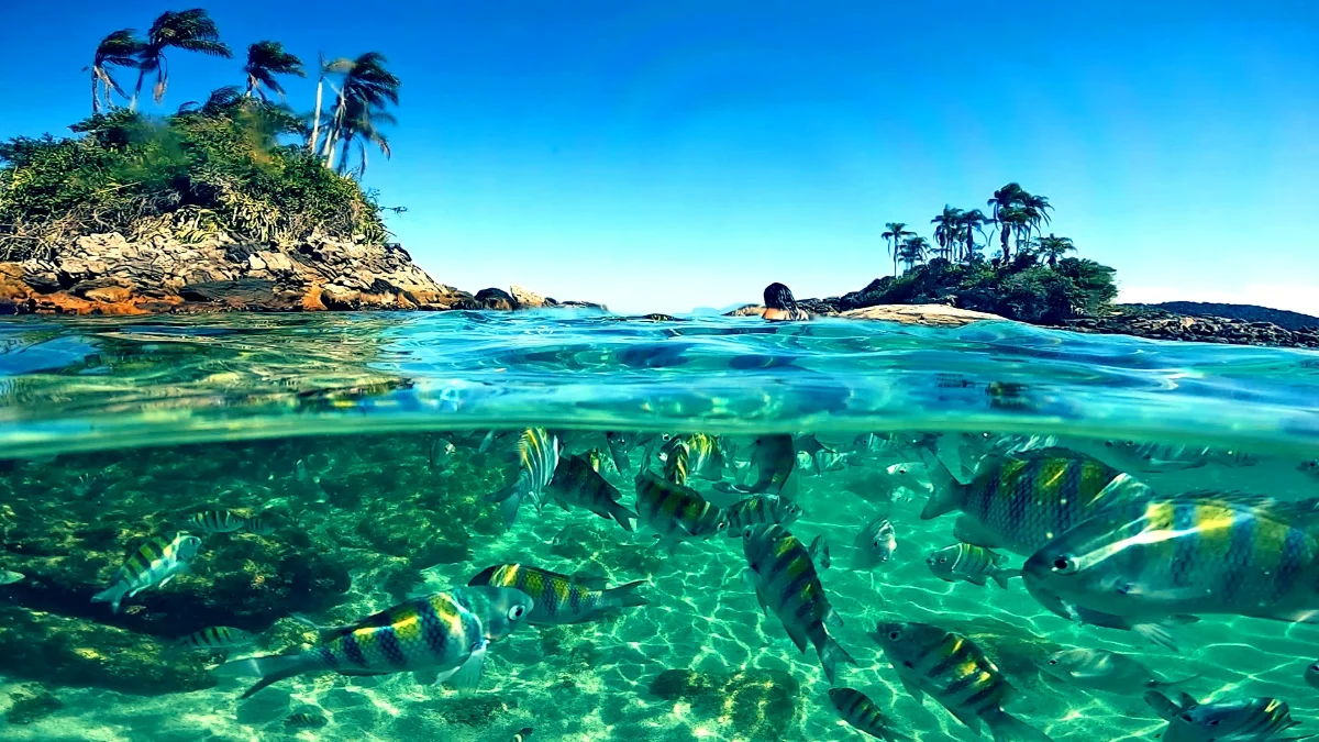 Ilhas Paradisíacas | Passeio de Lancha Compartilhada em Angra dos Reis