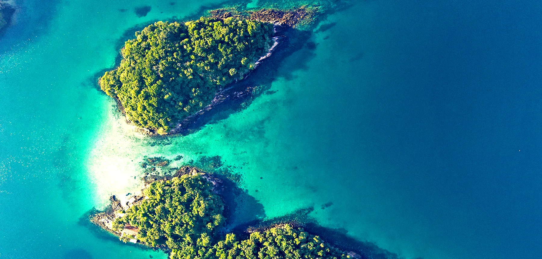 Passeio de Escuna na Ilha Grande