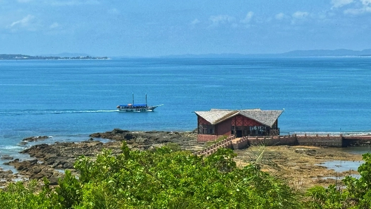 Passeio de Escuna pela Ilha dos Frades e Itaparica