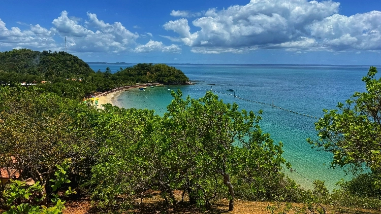 Passeio de Escuna pela Ilha dos Frades e Itaparica