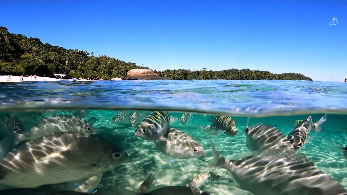 Passeio de Escuna na Ilha Grande, Praias e Aquários Naturais