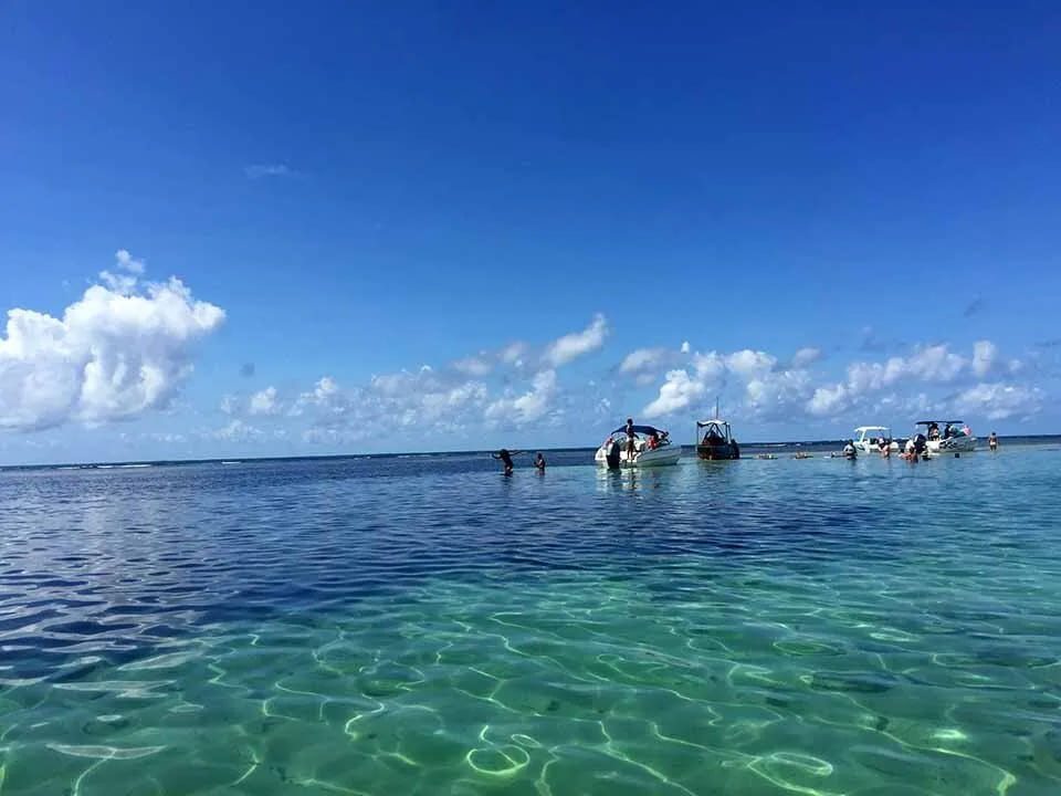 MORRO - VOLTA À ILHA DE TINHARÉ